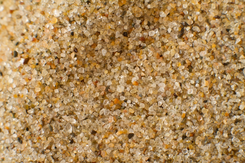 Nederland, Zuid-Holland, Wassenaar